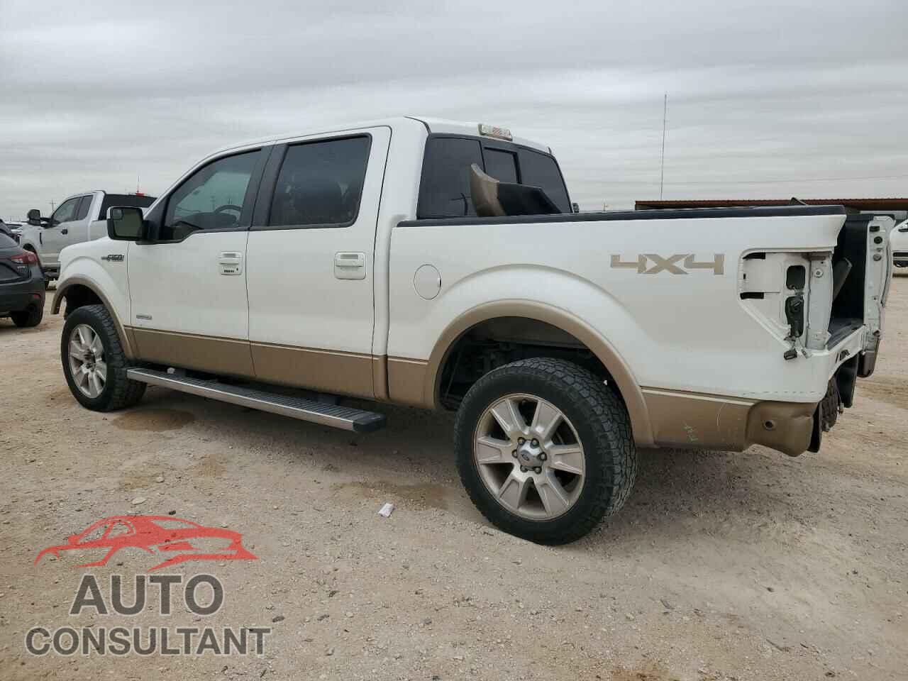 FORD F-150 2013 - 1FTFW1ET3DFD40781