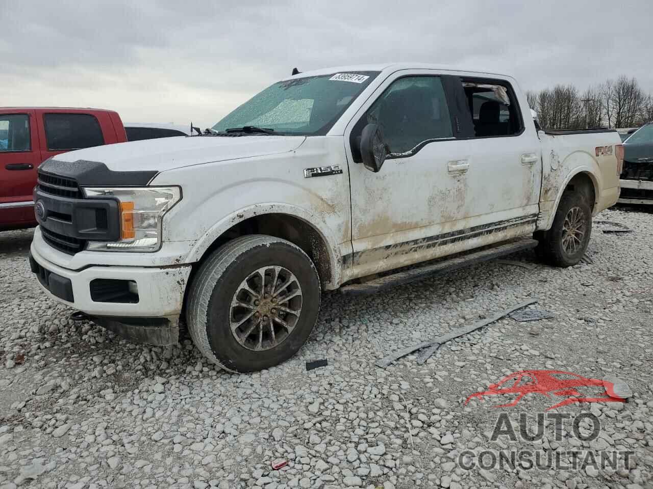 FORD F-150 2019 - 1FTEW1EP9KFB45571