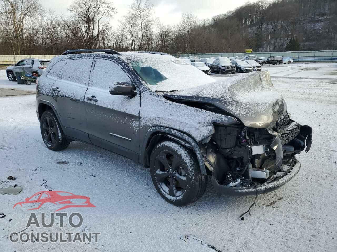 JEEP GRAND CHER 2019 - 1C4PJMLB1KD320357