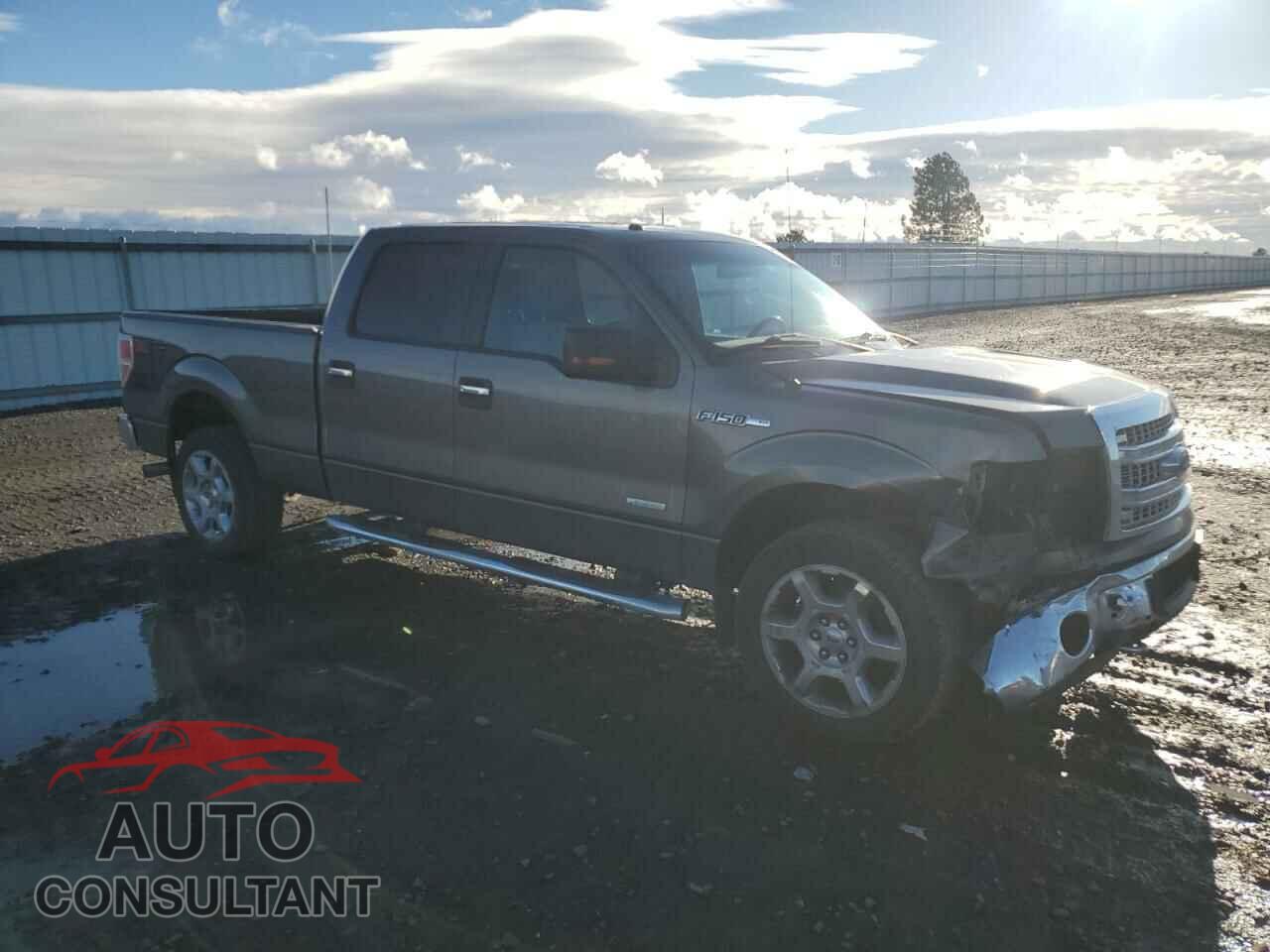 FORD F-150 2014 - 1FTFW1ET4EFB51526