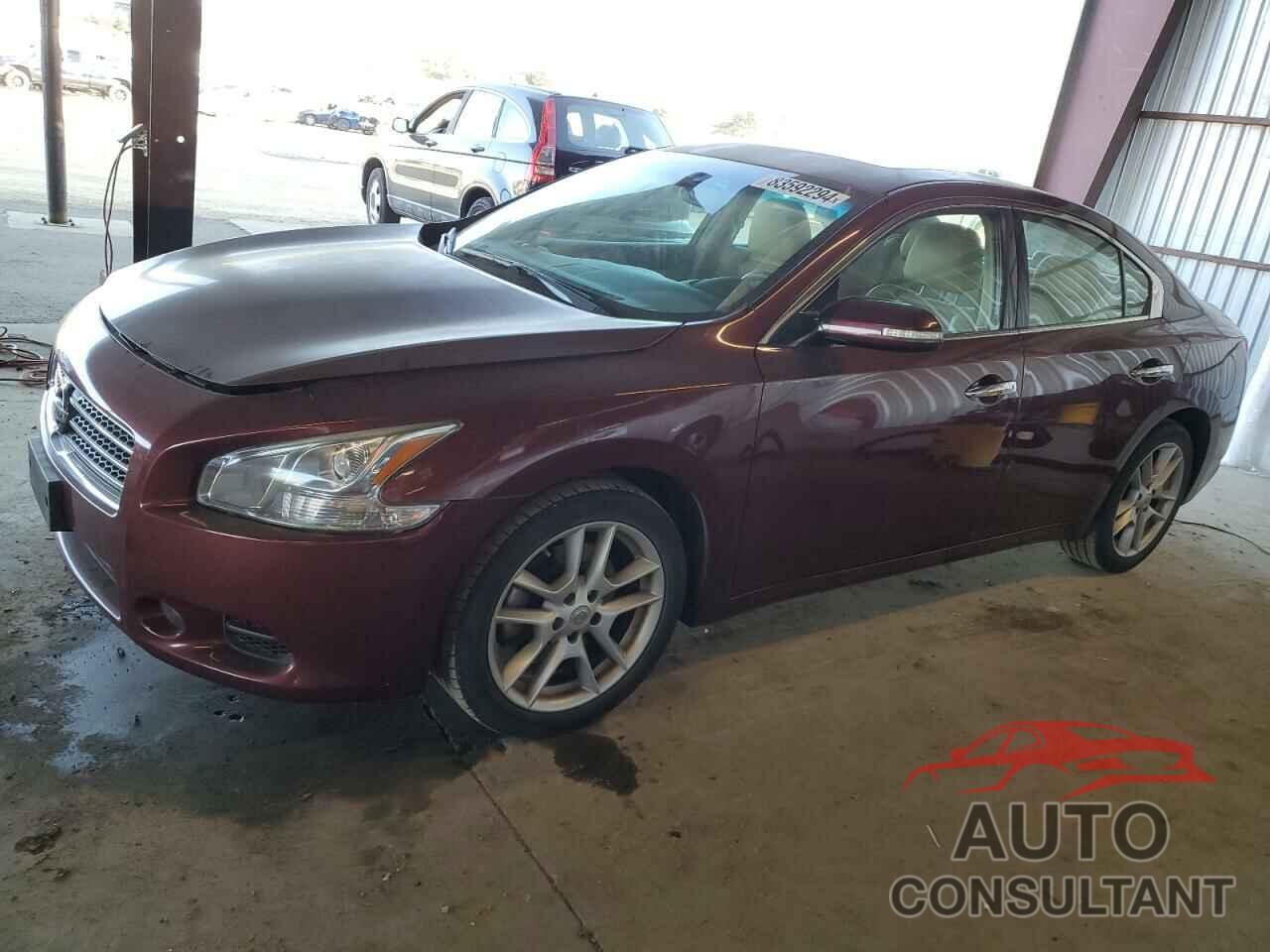 NISSAN MAXIMA 2011 - 1N4AA5AP0BC812741