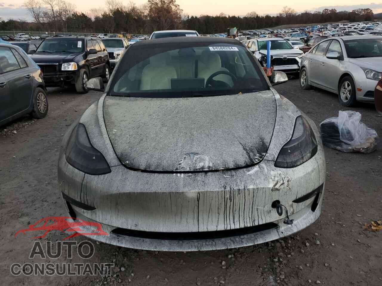 TESLA MODEL 3 2021 - 5YJ3E1EB2MF046855