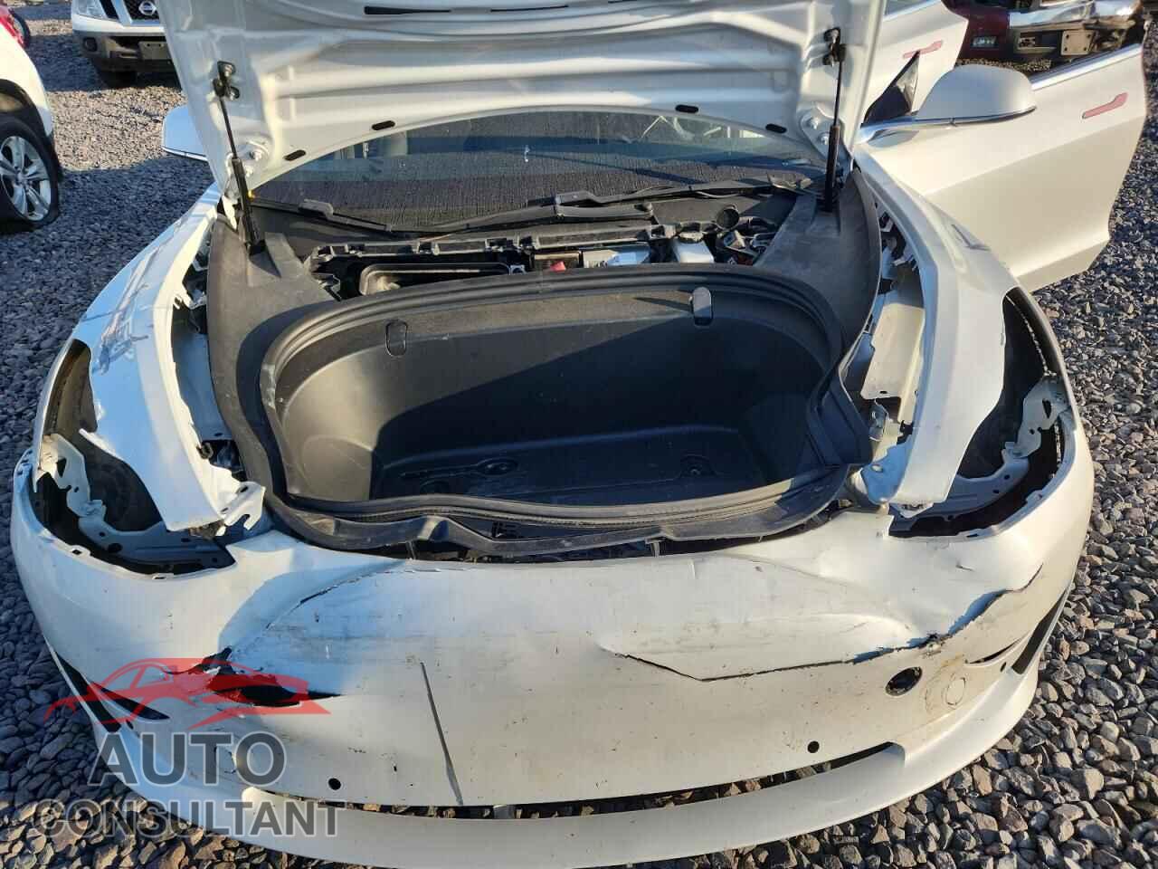 TESLA MODEL 3 2019 - 5YJ3E1EB8KF493817