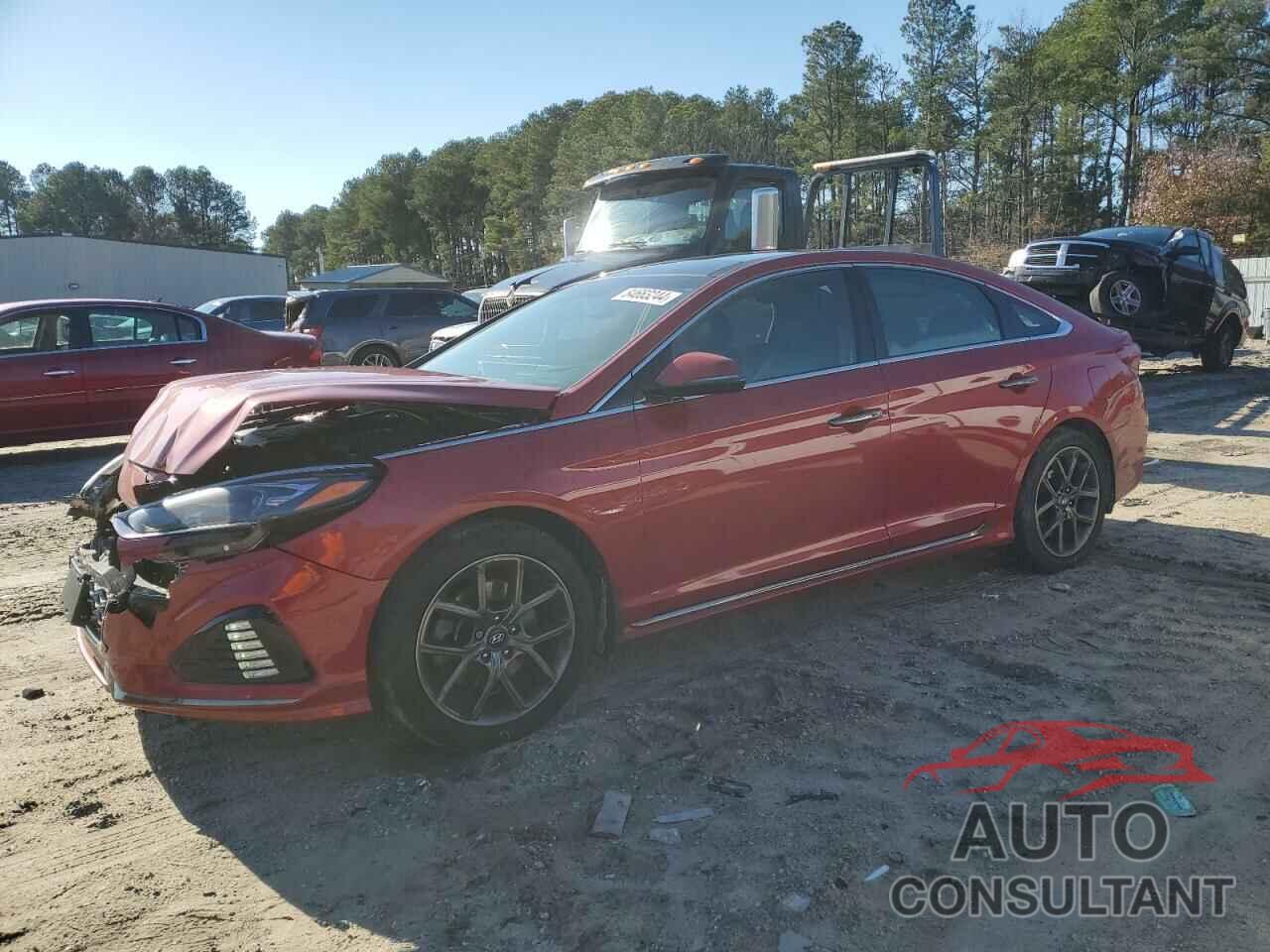 HYUNDAI SONATA 2019 - 5NPE34AB2KH812118