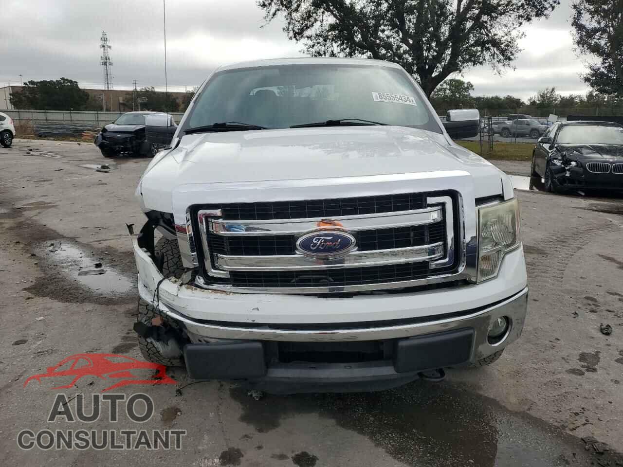 FORD F-150 2013 - 1FTFW1EF5DFD53204