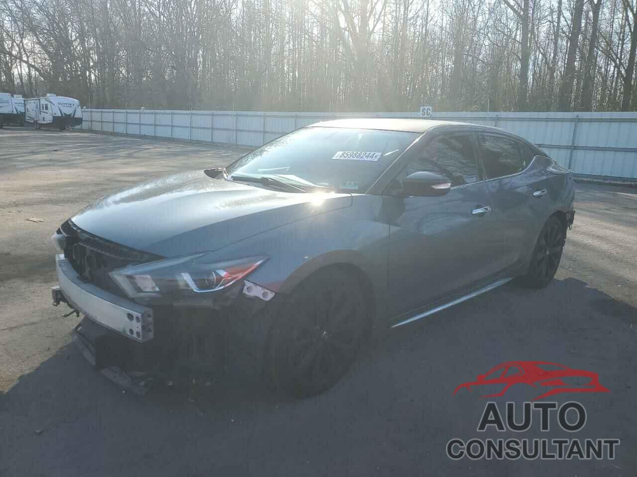 NISSAN MAXIMA 2017 - 1N4AA6AP2HC434694