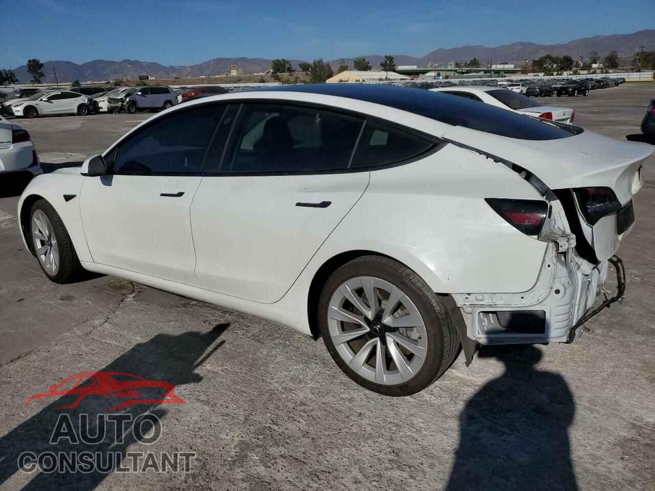 TESLA MODEL 3 2021 - 5YJ3E1EA1MF878520