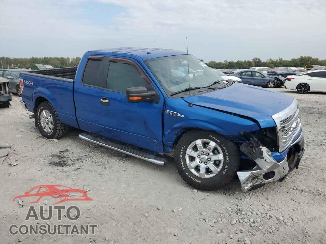FORD F-150 2013 - 1FTFX1EF7DFD25224