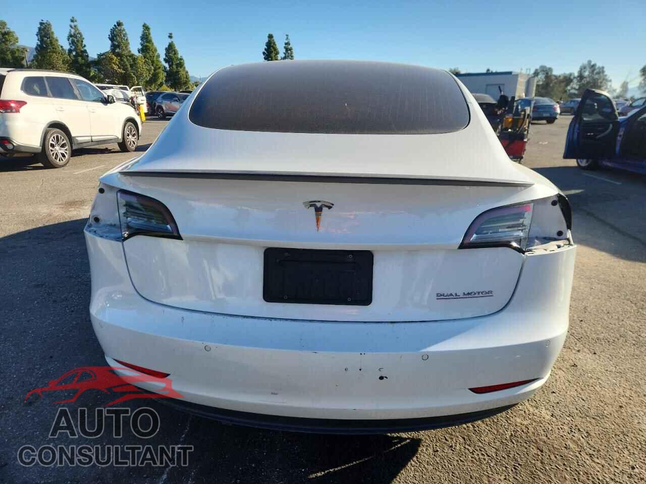 TESLA MODEL 3 2019 - 5YJ3E1EB2KF487138
