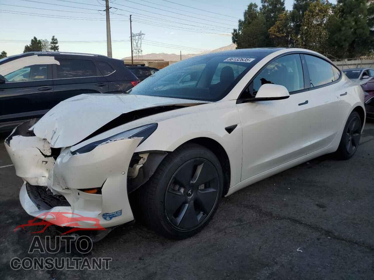 TESLA MODEL 3 2021 - 5YJ3E1EA5MF998174