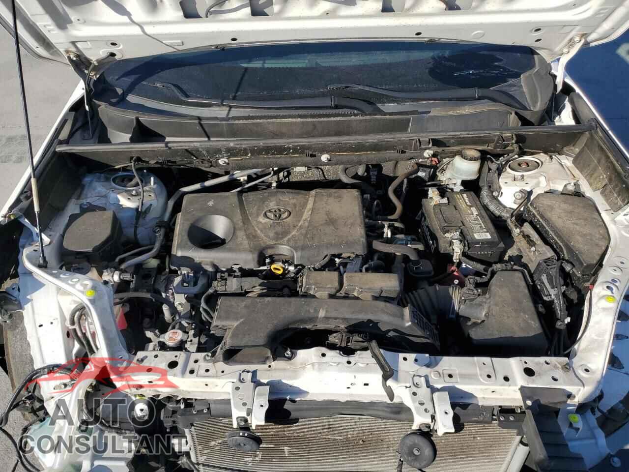 TOYOTA RAV4 2019 - JTMP1RFV4KD008813