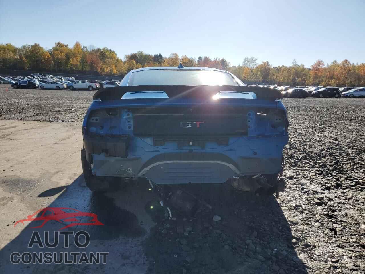 FORD MUSTANG 2021 - 1FA6P8CF5M5144386