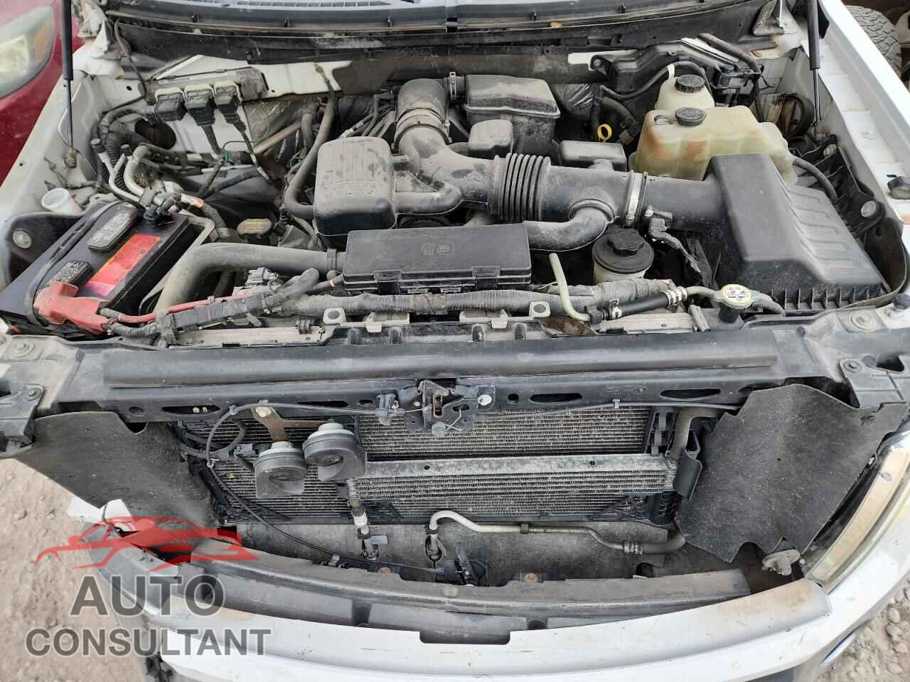 FORD F-150 2010 - 1FTFW1EV4AFC97372