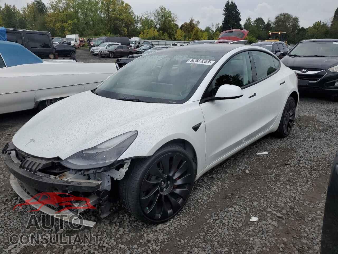 TESLA MODEL 3 2023 - 5YJ3E1EC5PF394646