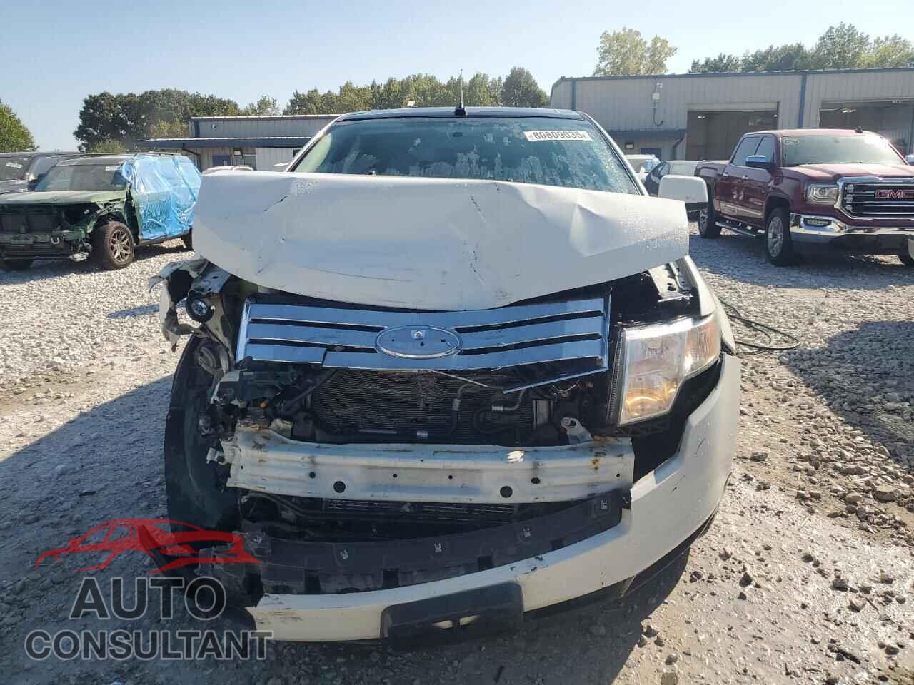 FORD EDGE 2009 - 2FMDK49C69BA45113