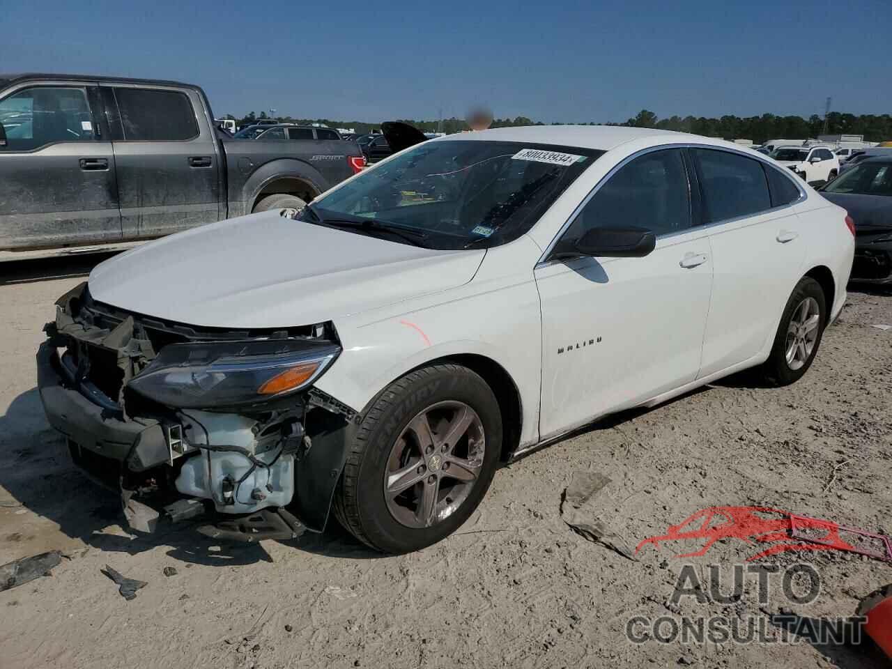 CHEVROLET MALIBU 2019 - 1G1ZB5ST6KF110419