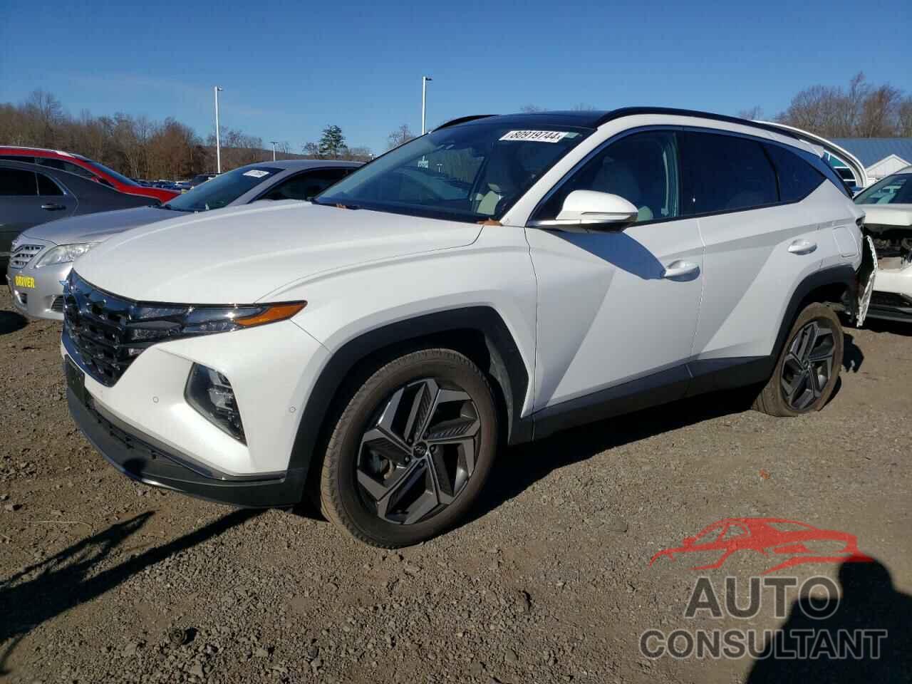 HYUNDAI TUCSON 2023 - 5NMJECAE5PH250524