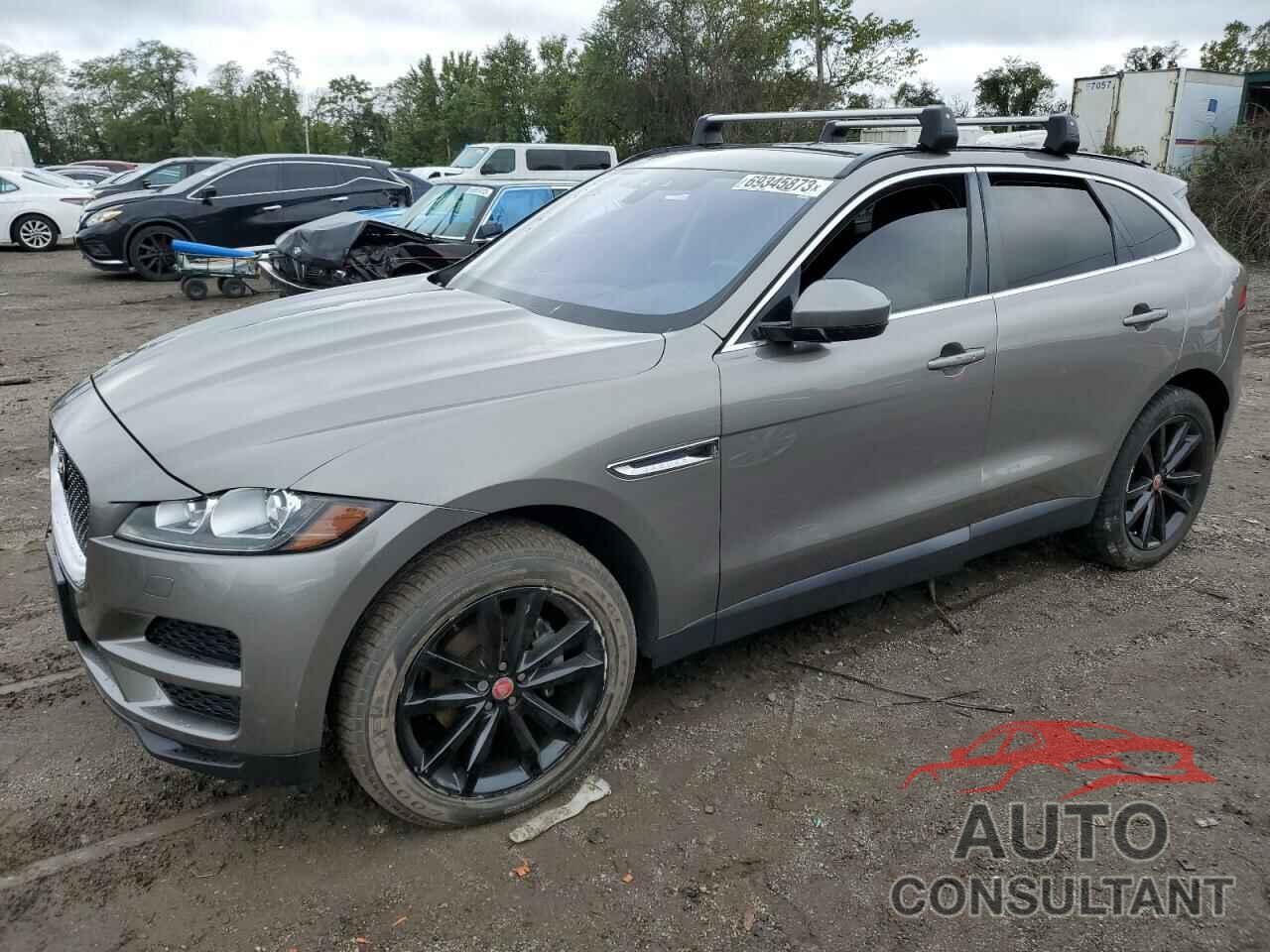 JAGUAR F-PACE 2019 - SADCK2FX4KA358727