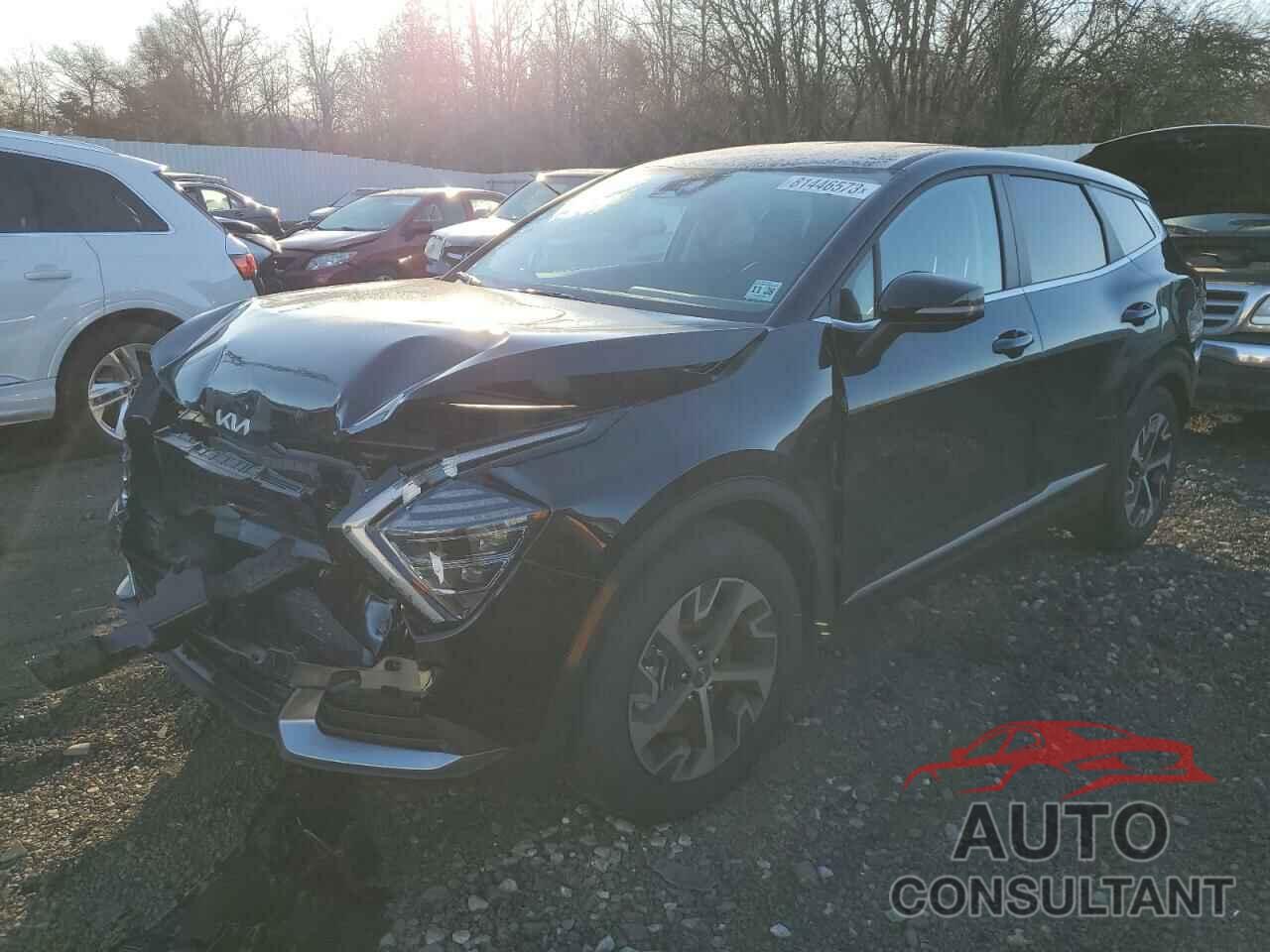 KIA SPORTAGE 2024 - 5XYK33DFXRG162113