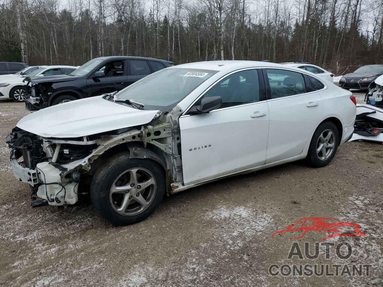 CHEVROLET MALIBU 2017 - 1G1ZB5ST7HF100345