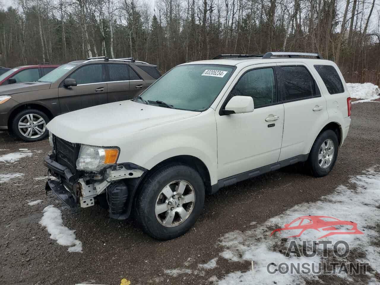 FORD ESCAPE 2011 - 1FMCU4K34BKB80697