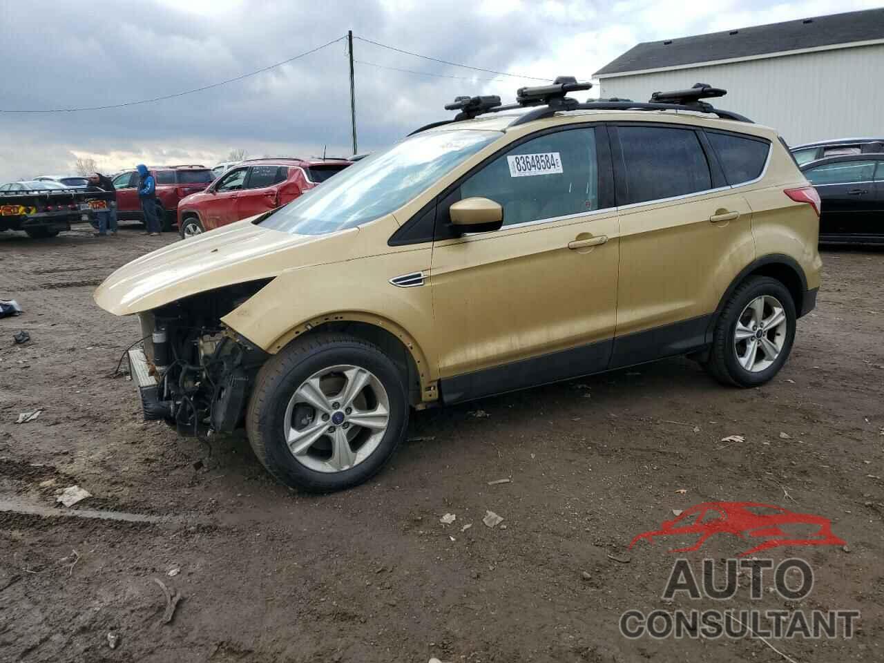 FORD ESCAPE 2014 - 1FMCU9G98EUC32481