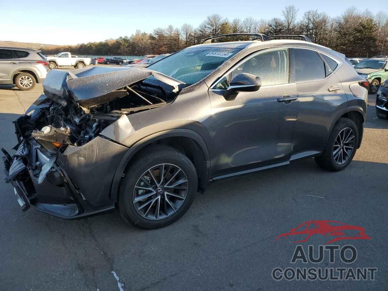 LEXUS NX 350 PRE 2024 - 2T2GGCEZ1RC056739