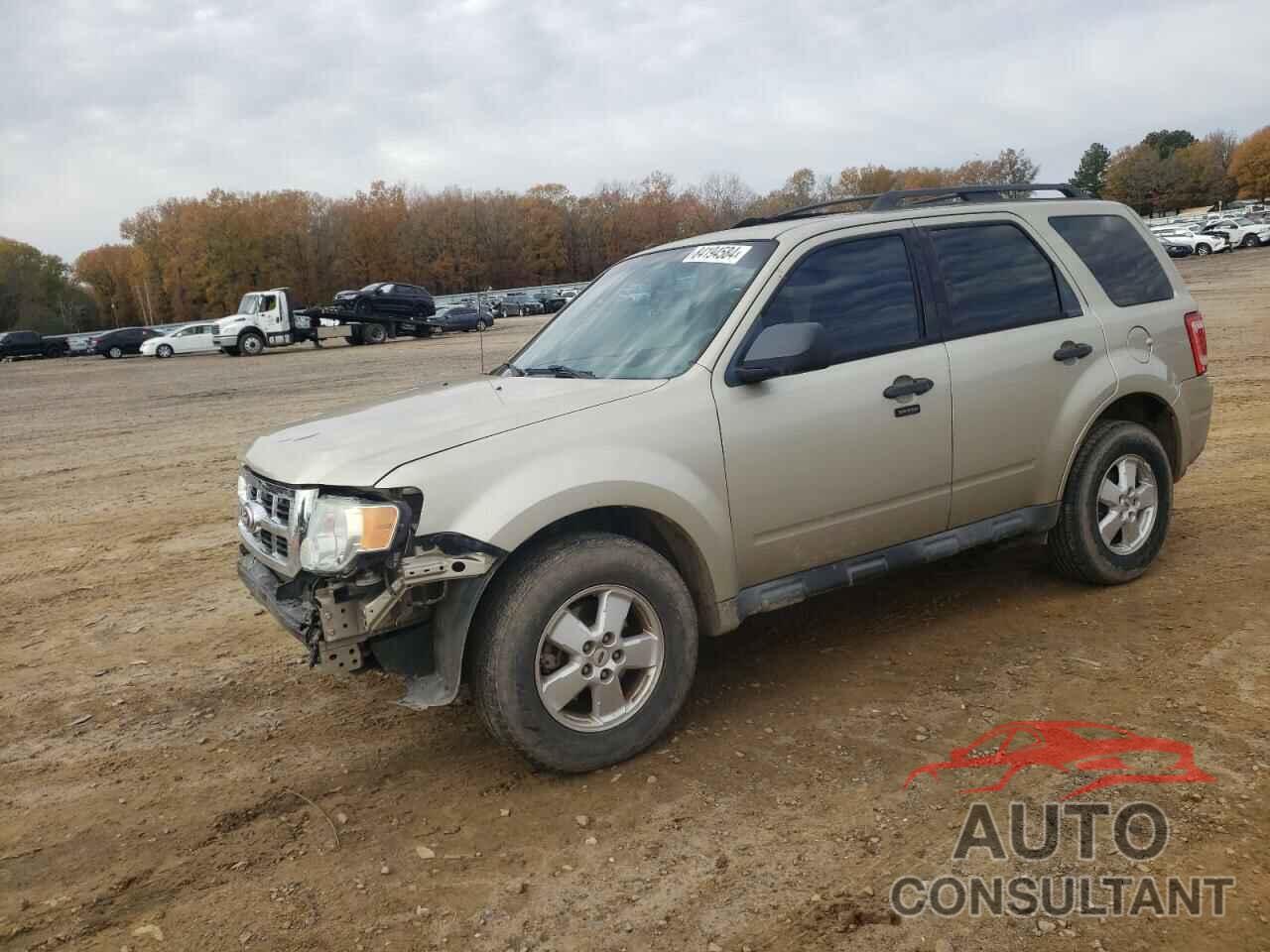 FORD ESCAPE 2010 - 1FMCU0DG8AKB64767