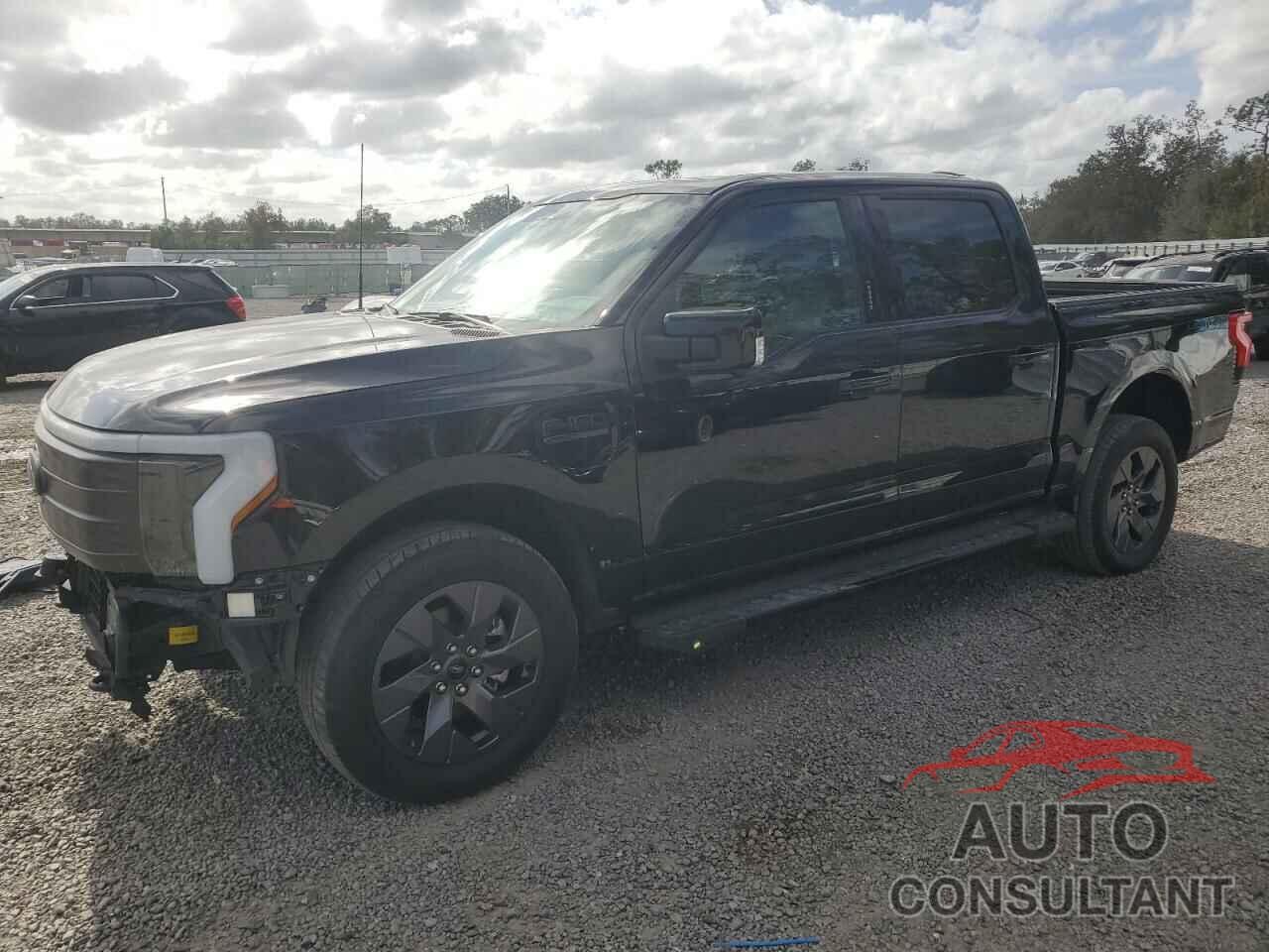 FORD F150 LIGHT 2022 - 1FT6W1EV4NWG14041