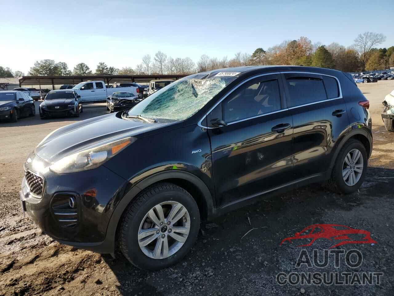 KIA SPORTAGE 2017 - KNDPMCAC9H7085548