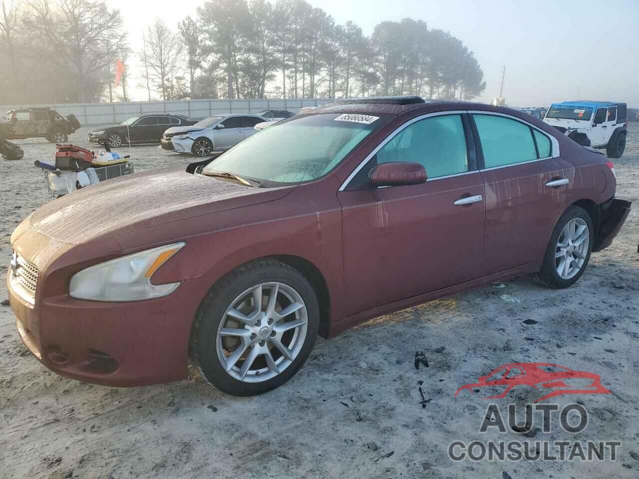 NISSAN MAXIMA 2011 - 1N4AA5AP8BC841033