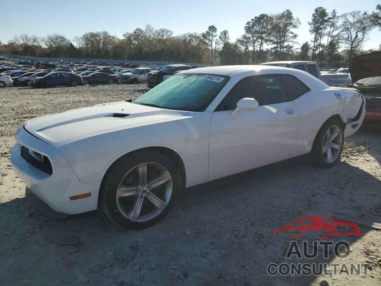 DODGE CHALLENGER 2013 - 2C3CDYAG6DH734059