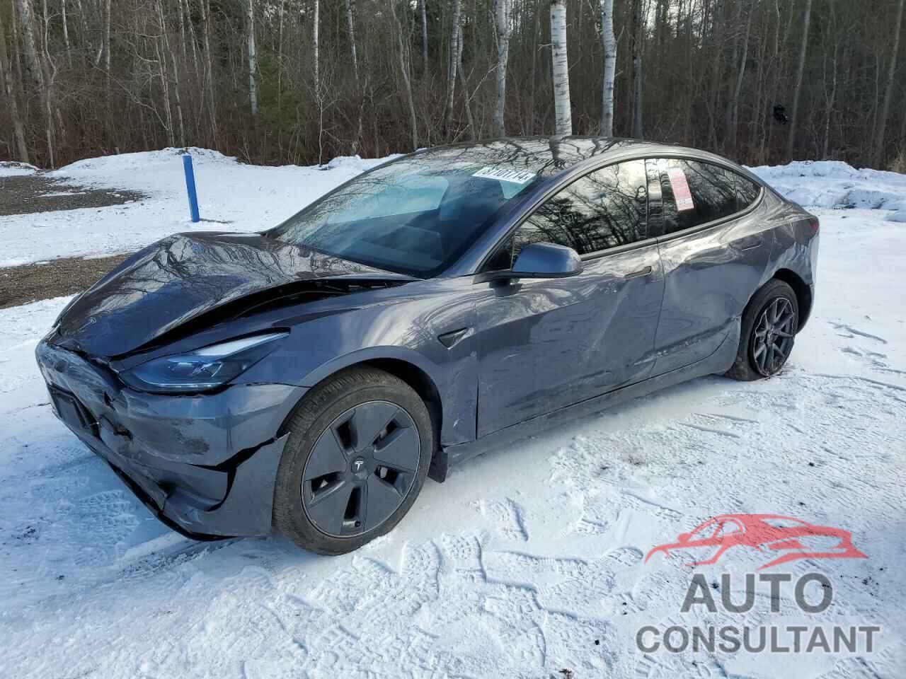 TESLA MODEL 3 2023 - LRW3E1FA0PC899887