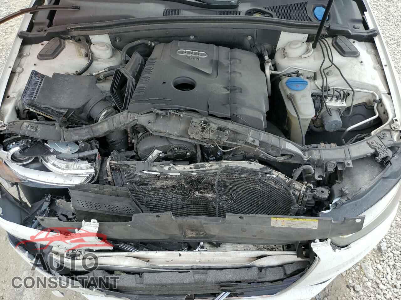 AUDI A4 2016 - WAUAFAFL1GN005244
