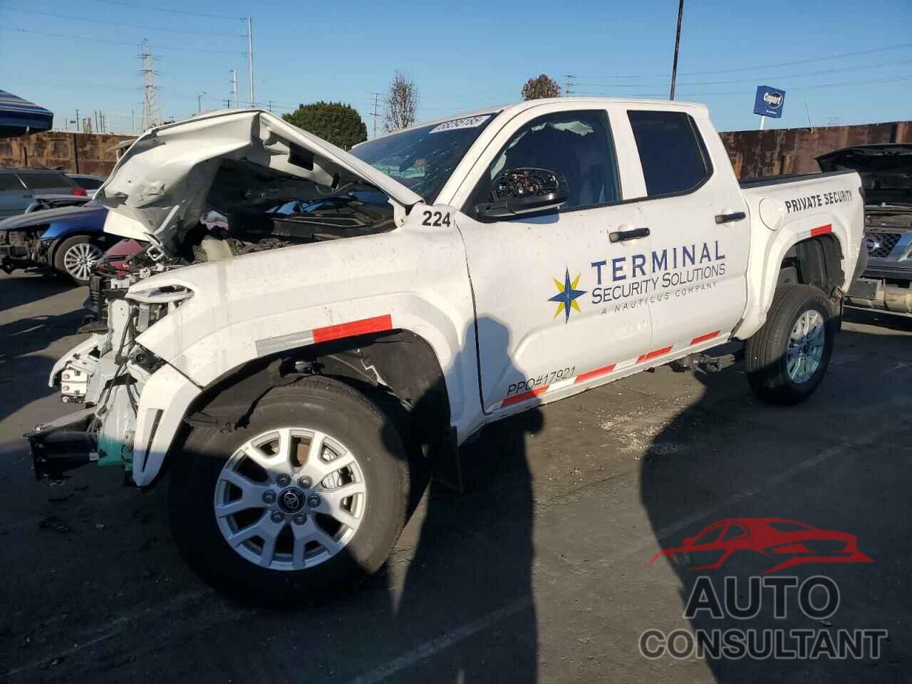 TOYOTA TACOMA 2024 - 3TYKD5HN9RT002032