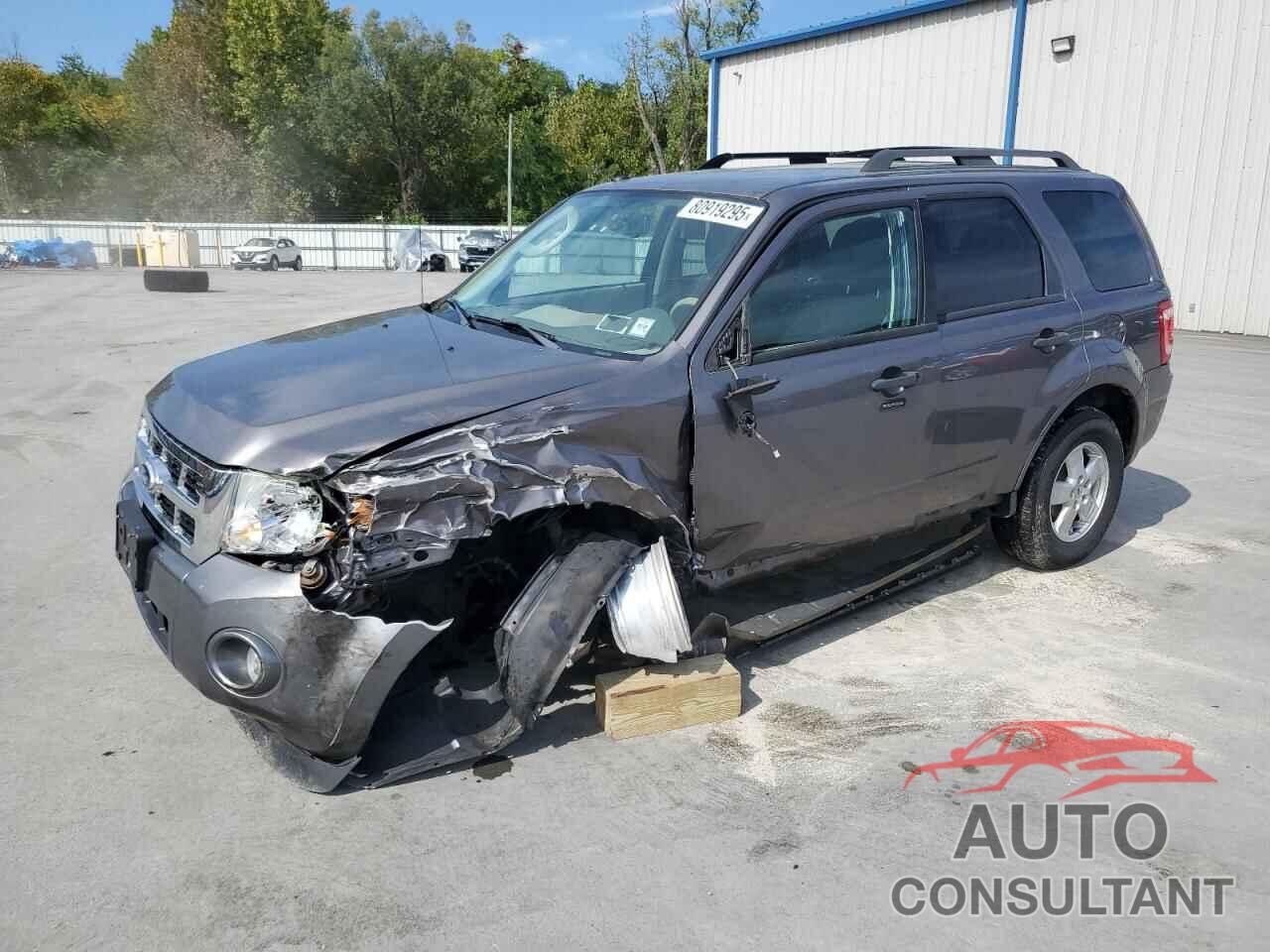 FORD ESCAPE 2010 - 1FMCU9D77AKA73316