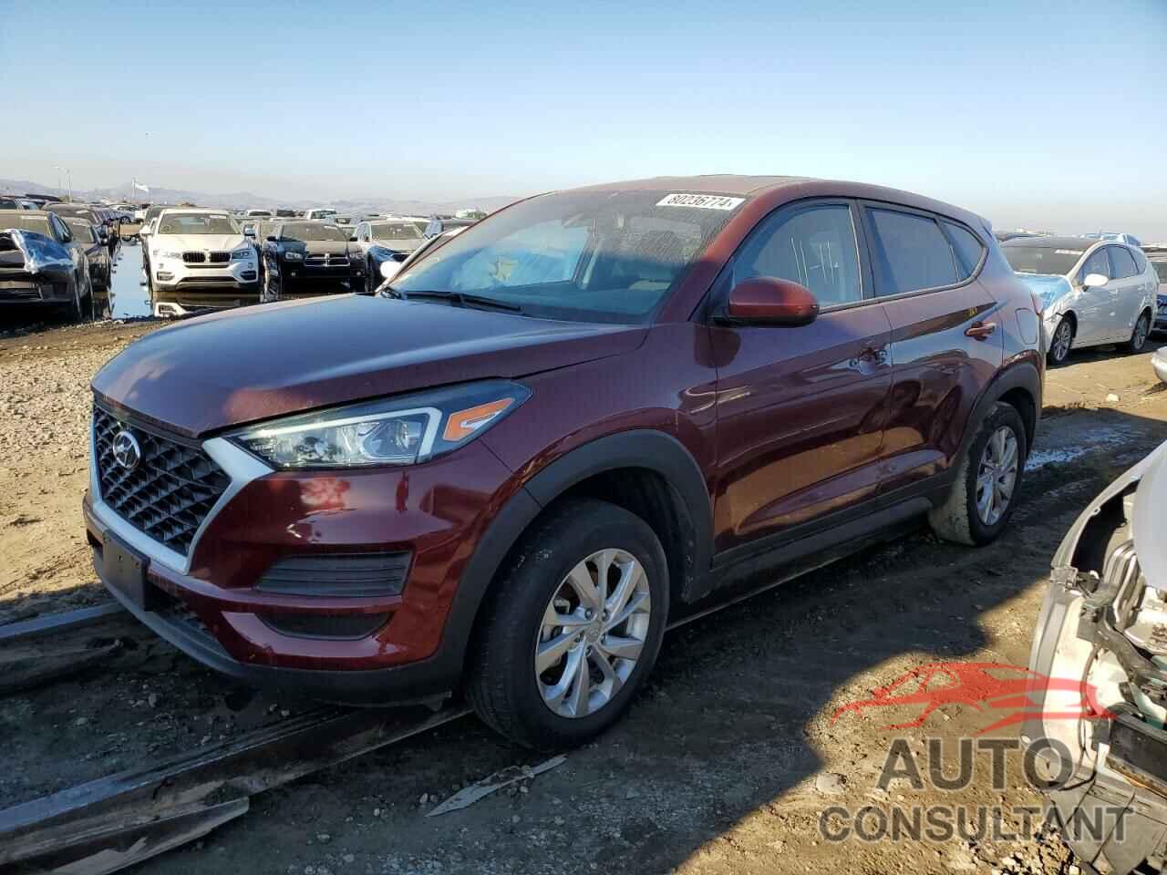 HYUNDAI TUCSON 2019 - KM8J23A46KU954048