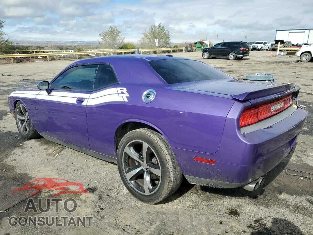 DODGE CHALLENGER 2013 - 2C3CDYBT5DH671726