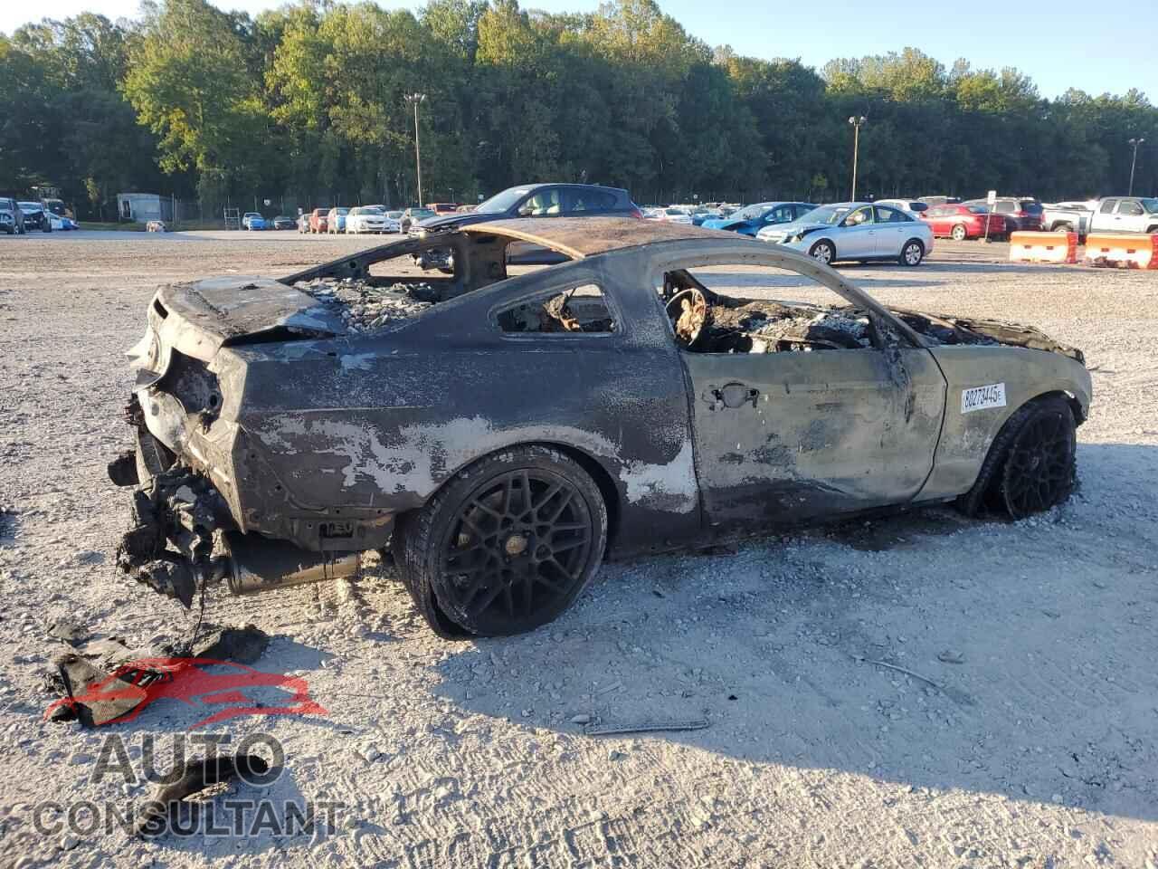 FORD MUSTANG 2011 - 1ZVBP8JS0B5157100
