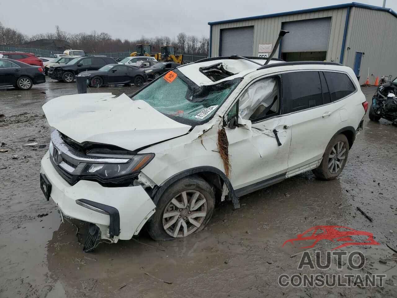 HONDA PILOT 2019 - 5FNYF5H50KB036628