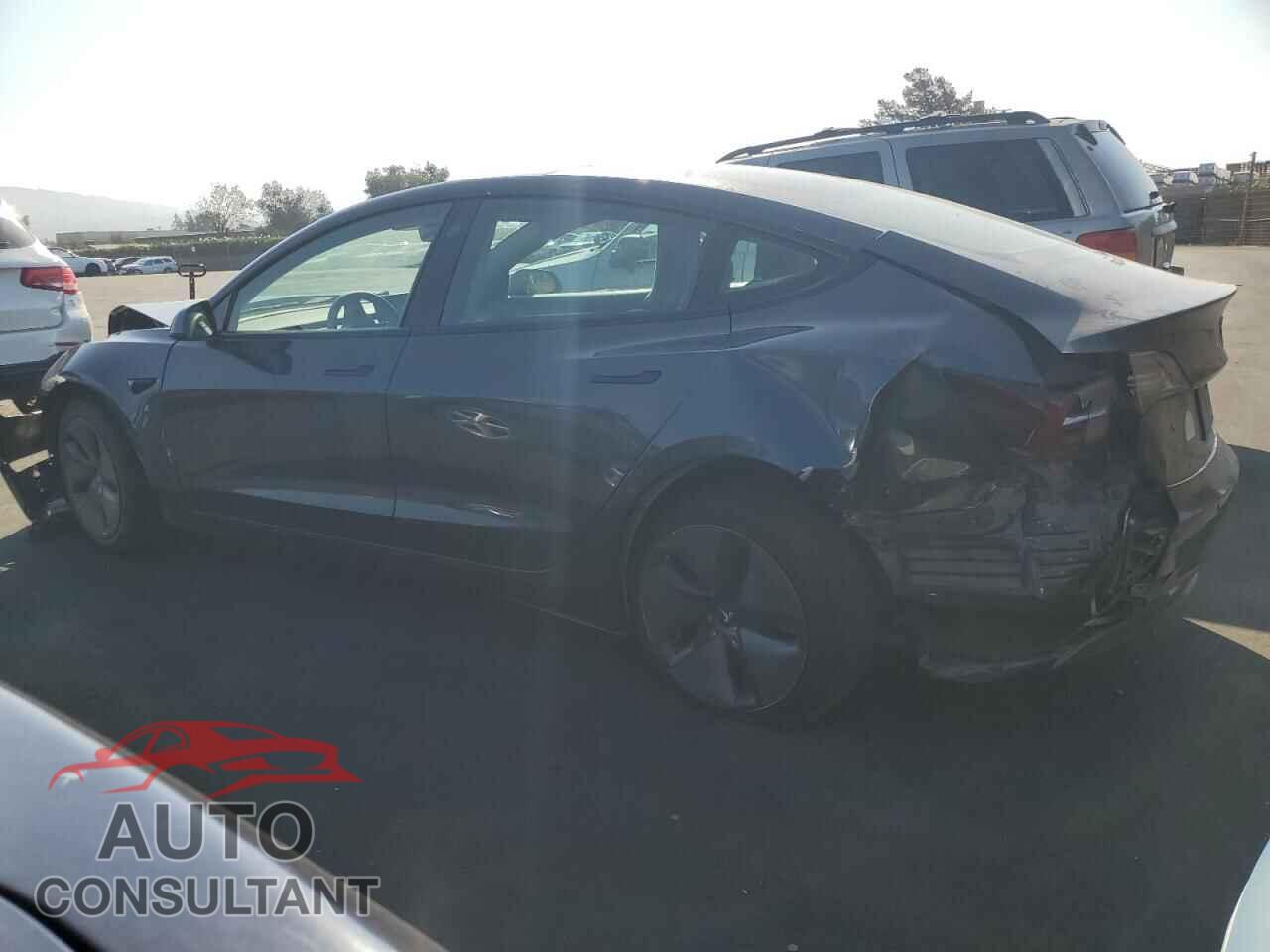 TESLA MODEL 3 2021 - 5YJ3E1EA2MF092872