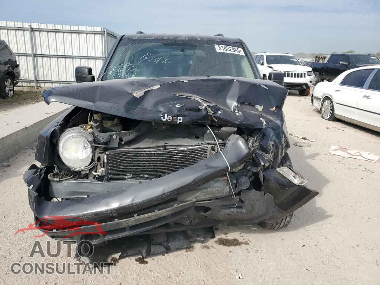 JEEP PATRIOT 2011 - 1J4NT1GA3BD109933