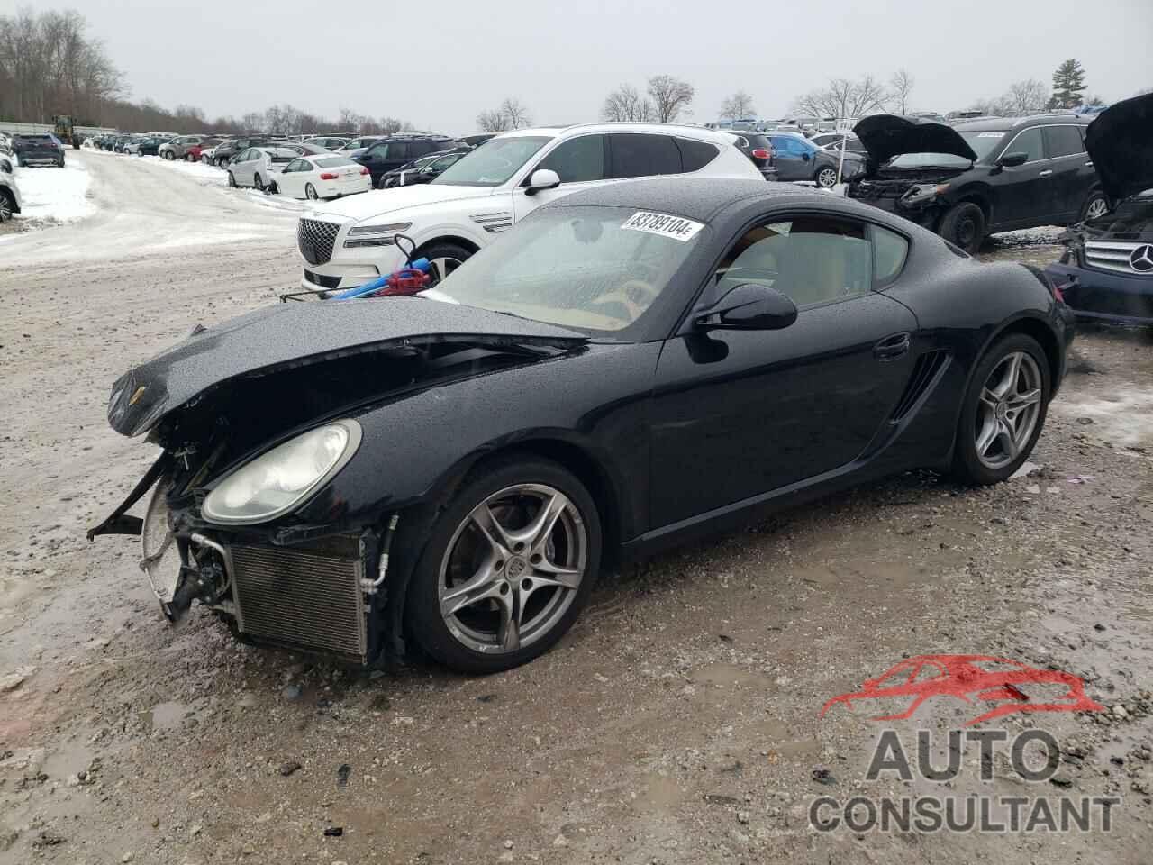 PORSCHE CAYMAN 2009 - WP0AA29889U760317