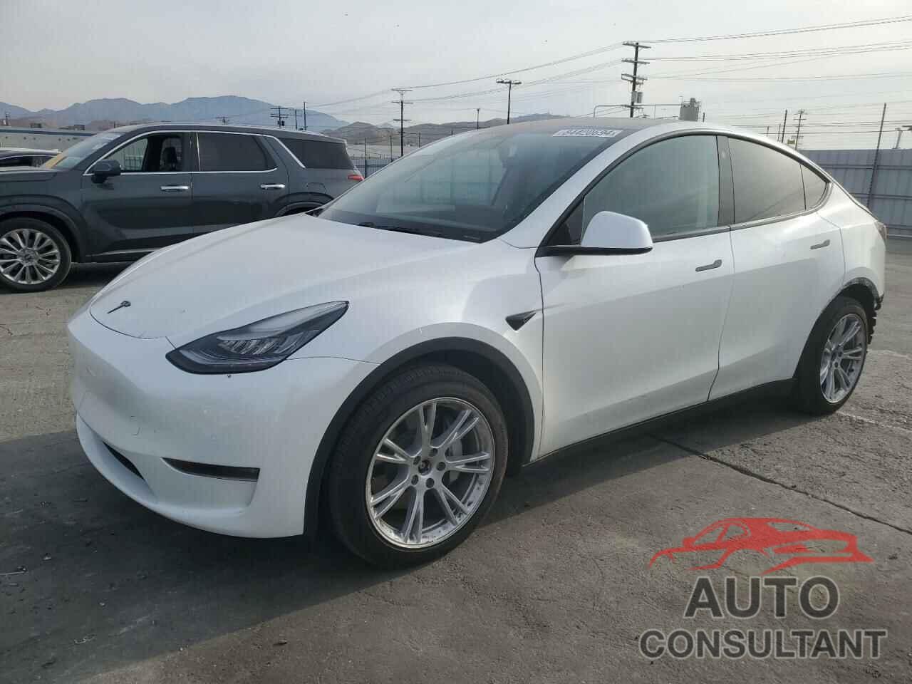 TESLA MODEL Y 2021 - 5YJYGDEE0MF070034