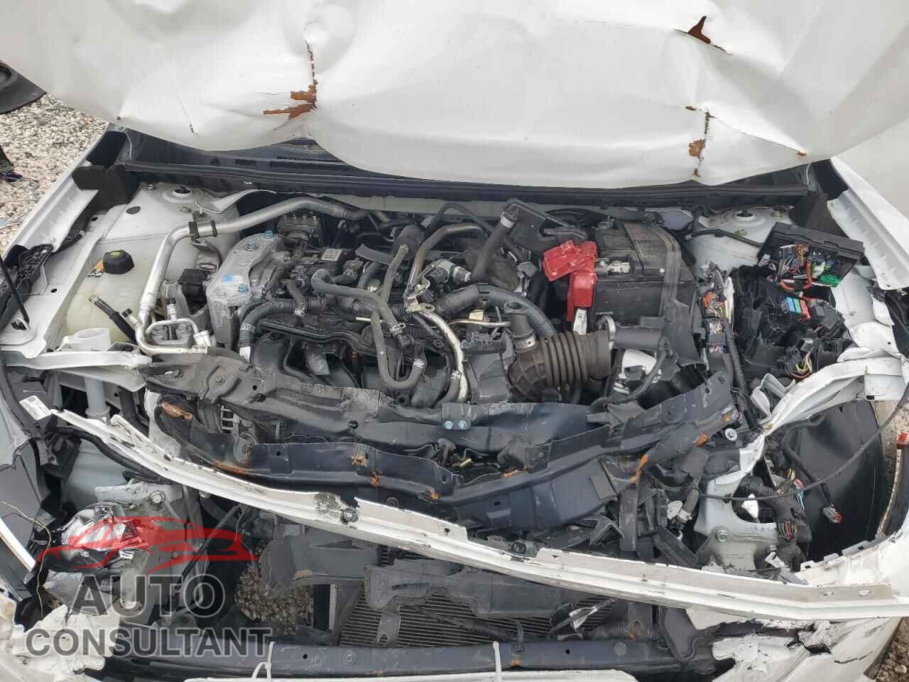 NISSAN SENTRA 2024 - 3N1AB8BV9RY299547