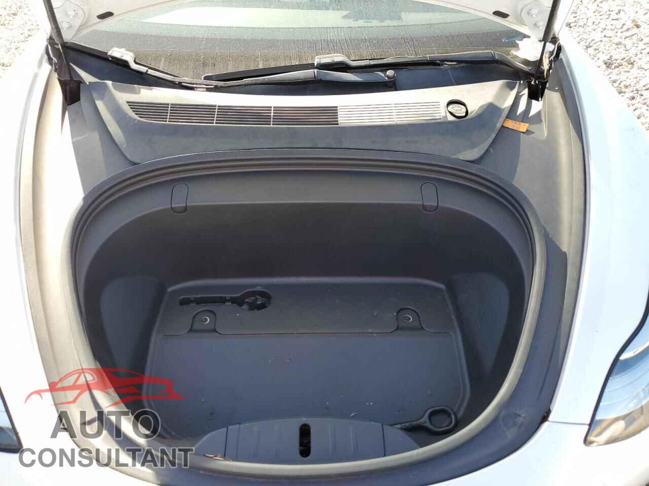 TESLA MODEL 3 2019 - 5YJ3E1EA2KF311780