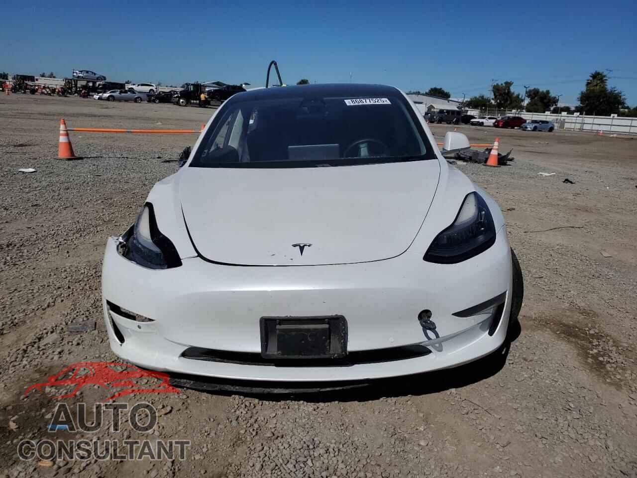 TESLA MODEL 3 2020 - 5YJ3E1EA0LF631052