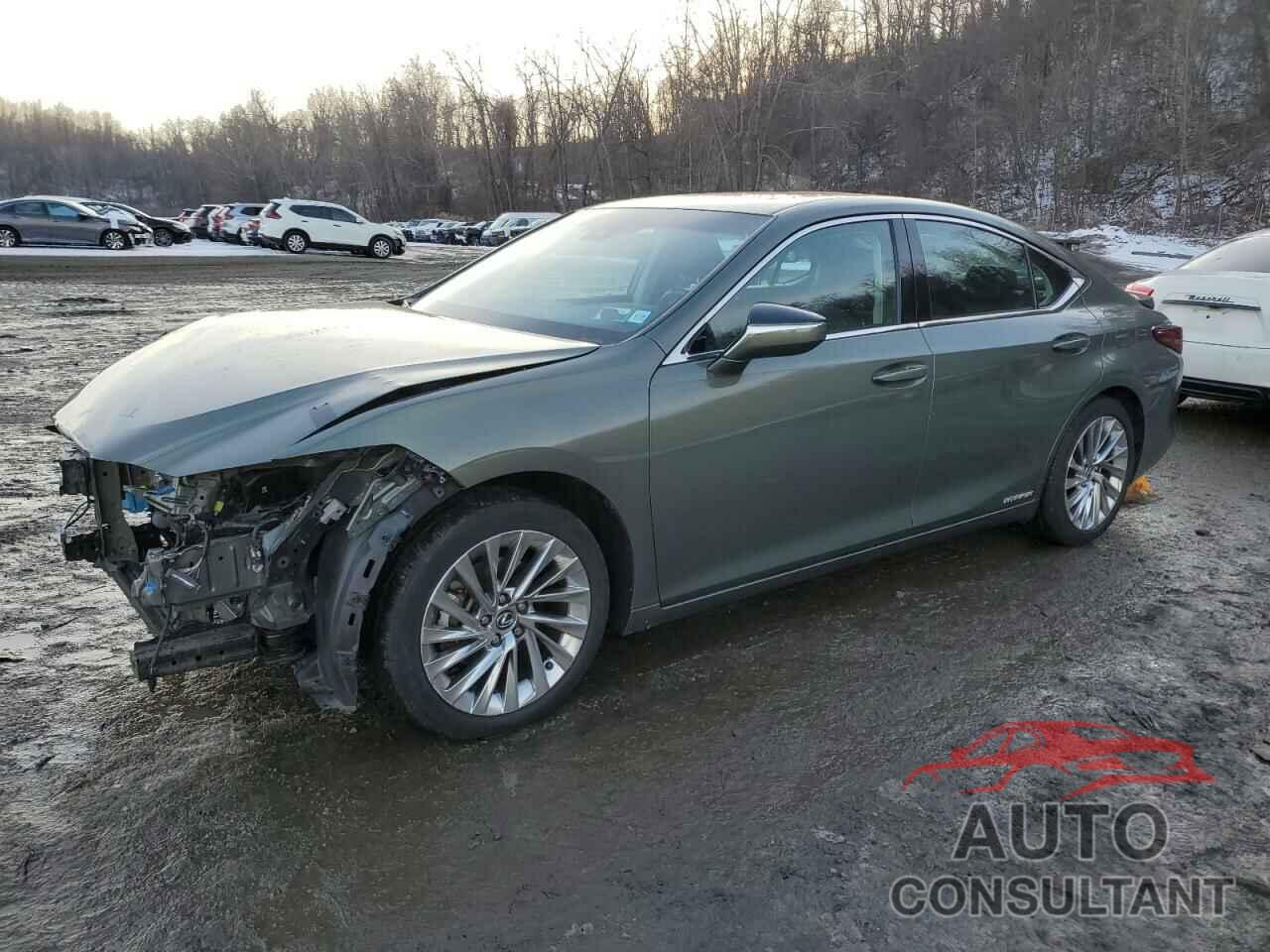 LEXUS ES300 2020 - 58AE21B1XLU005445