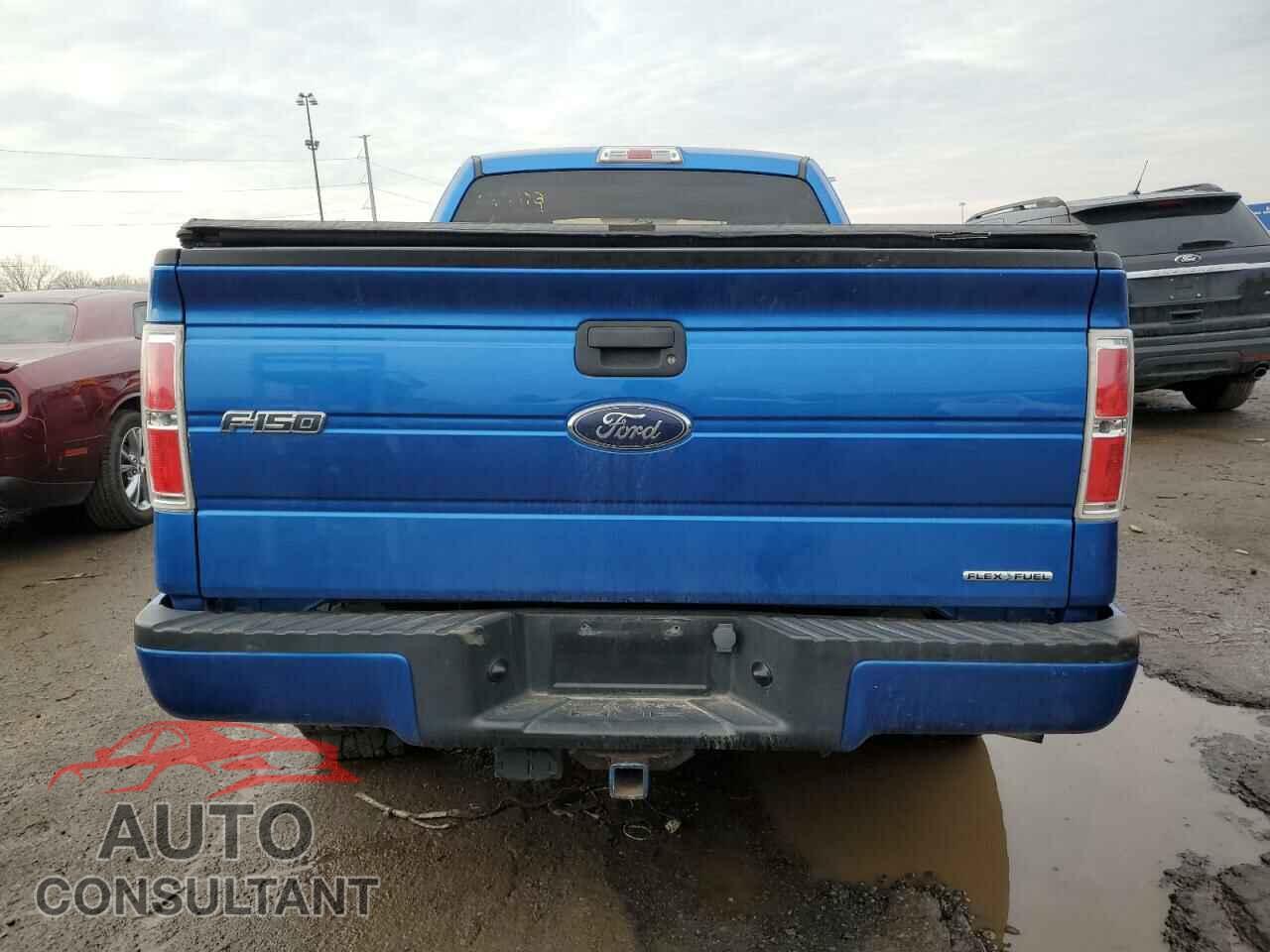 FORD F-150 2013 - 1FTFX1EF3DFD46989