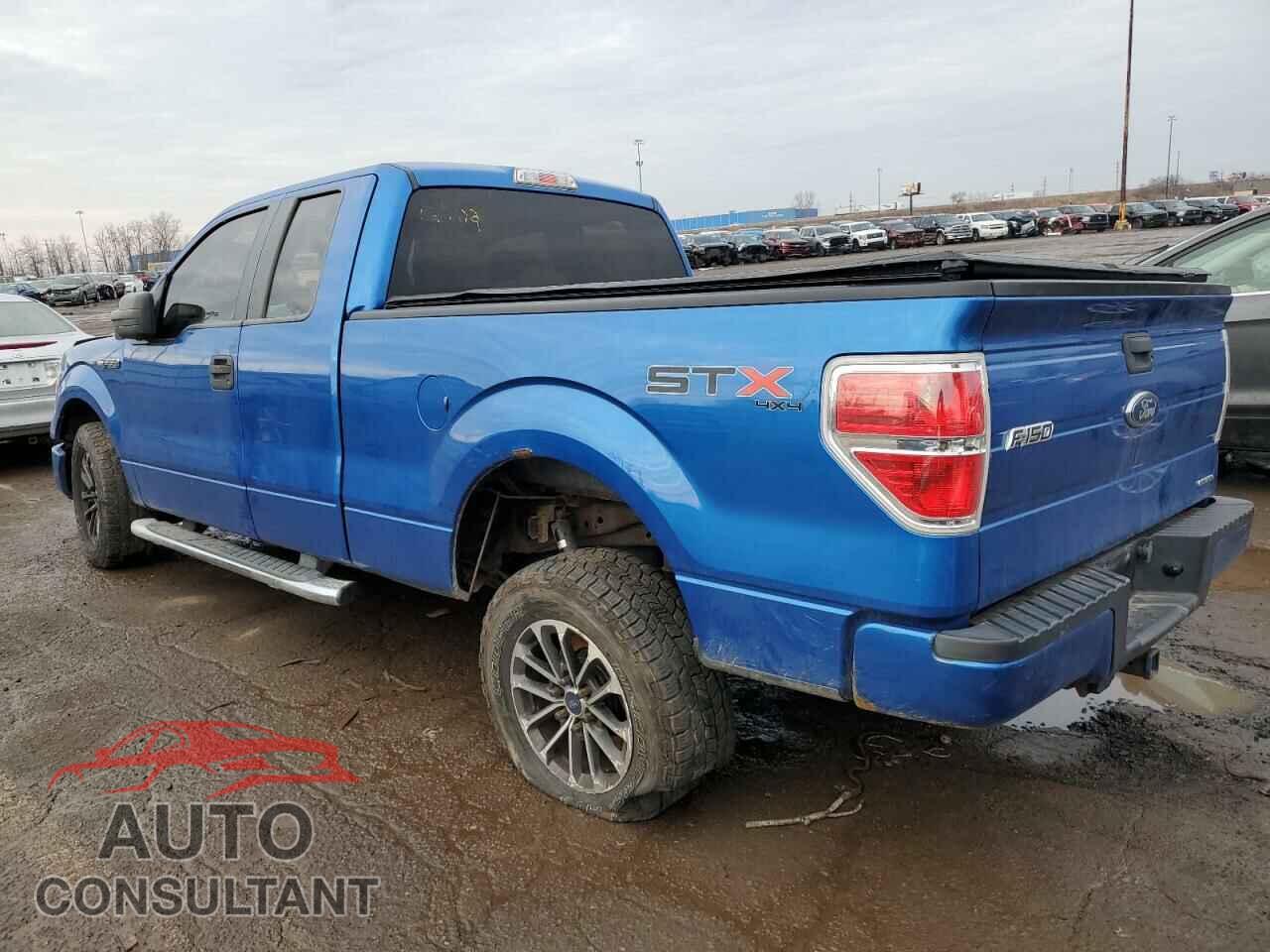 FORD F-150 2013 - 1FTFX1EF3DFD46989